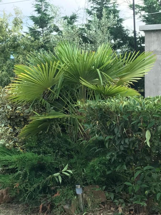 Villa Casa Dei Fiori Asprovalta Exterior foto